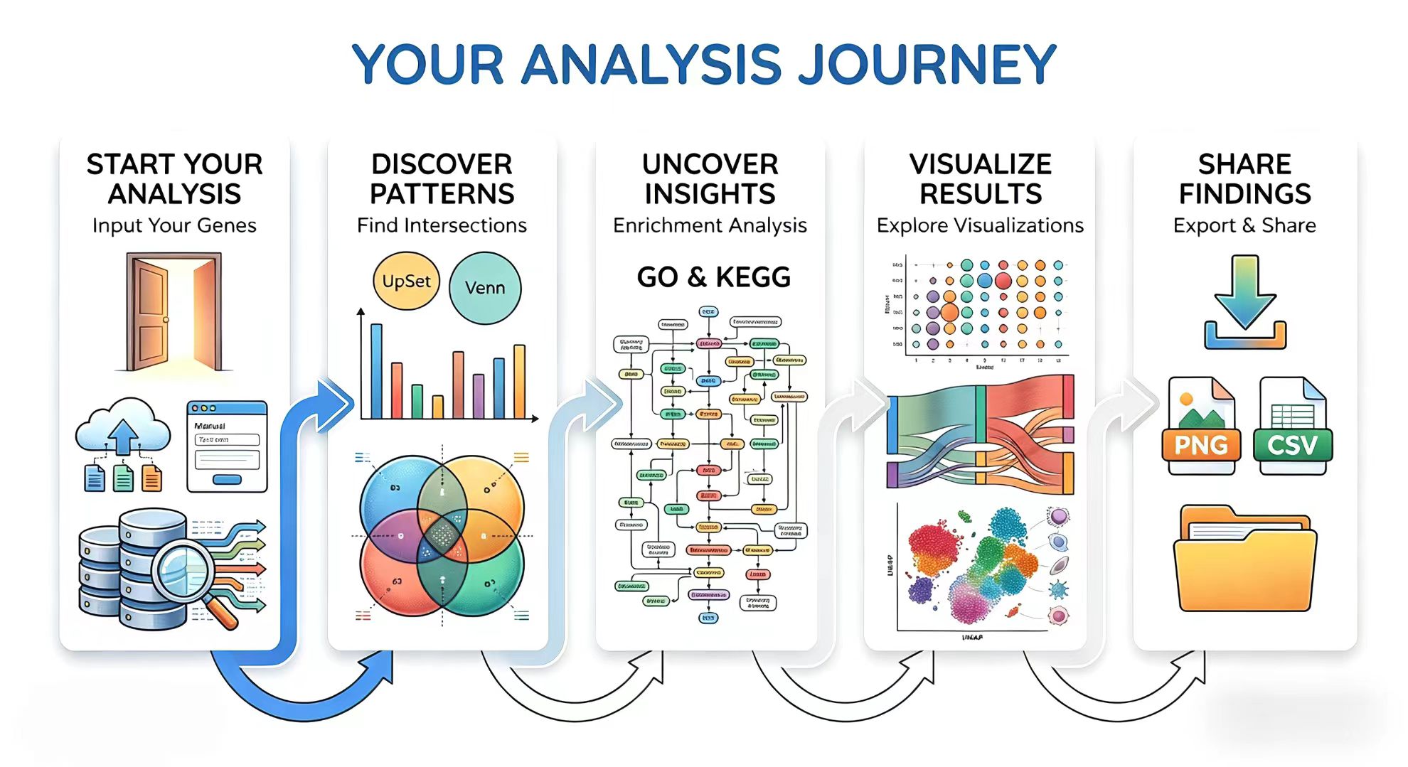 Your Analysis Journey